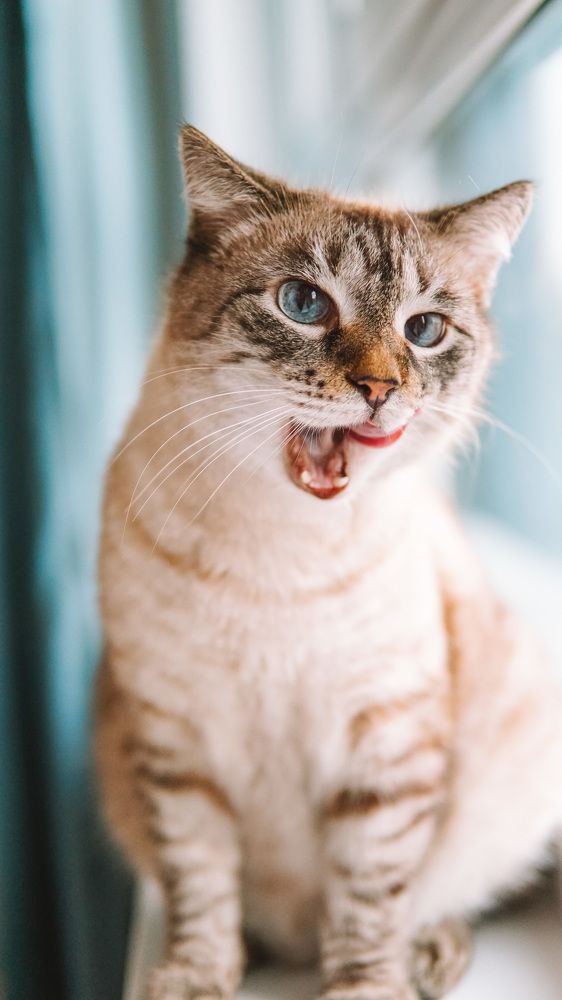 Photograph by Юлия