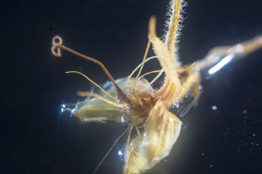 Photograph by Игорь Смирнов