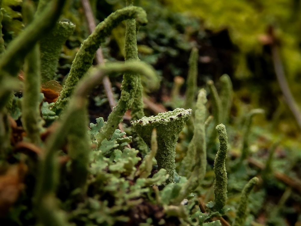 Photograph by Игорь Смирнов