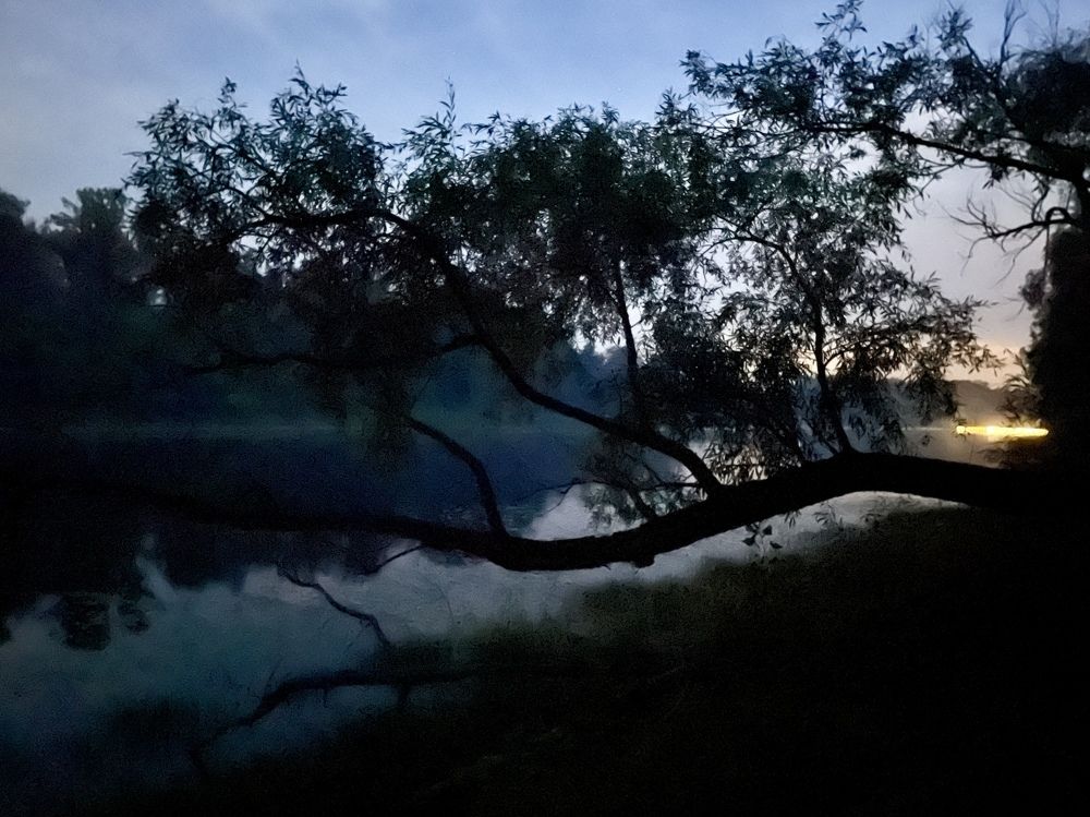 Photograph by Tatiana Teit Ash