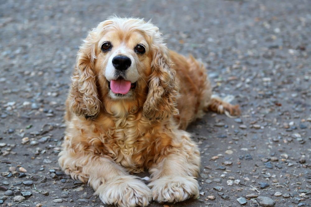 Photograph by Александр Глебов