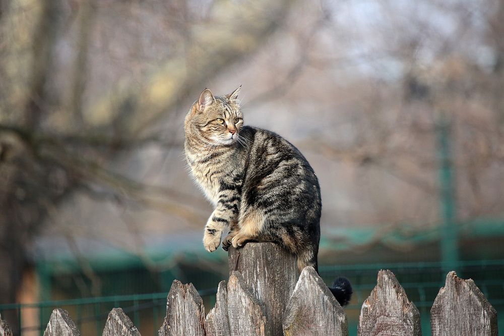 Photograph by Александр Глебов