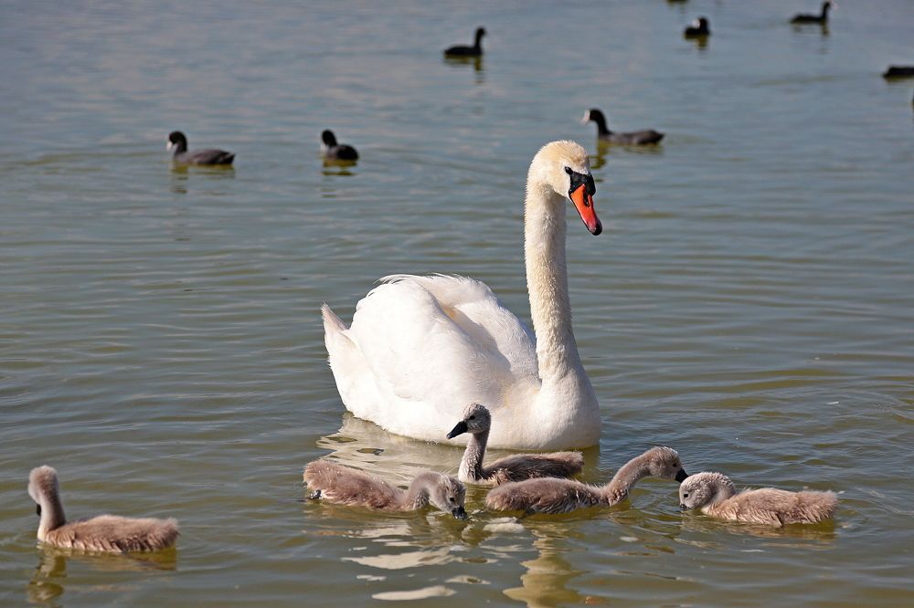 Photograph by Александр Глебов