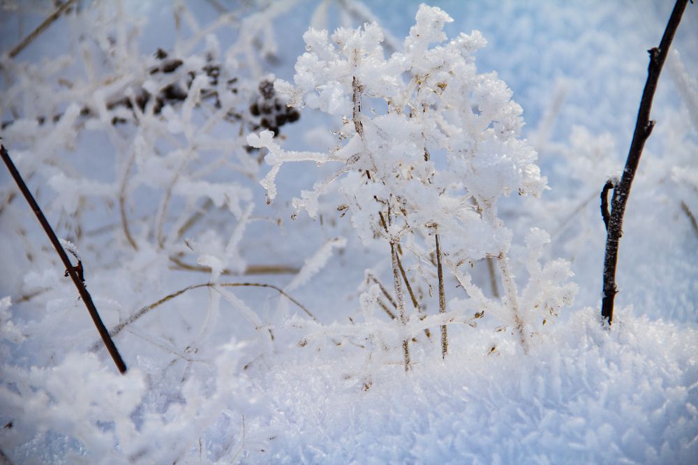 Photograph by Oksana Sabeleva