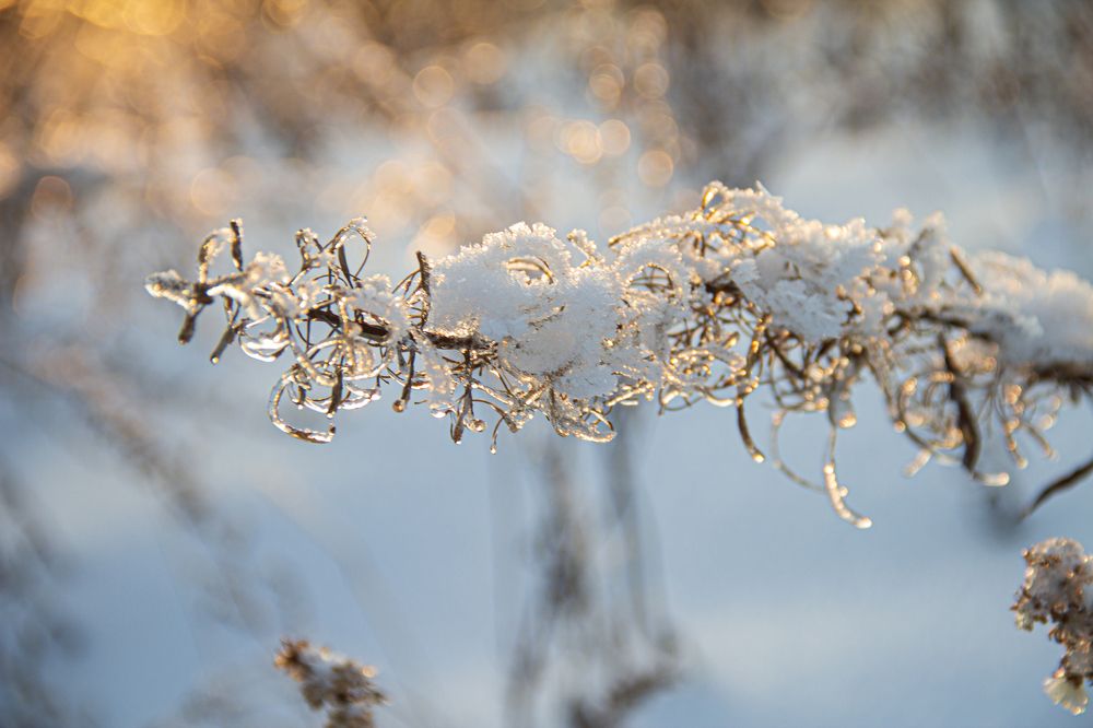 Photograph by Oksana Sabeleva