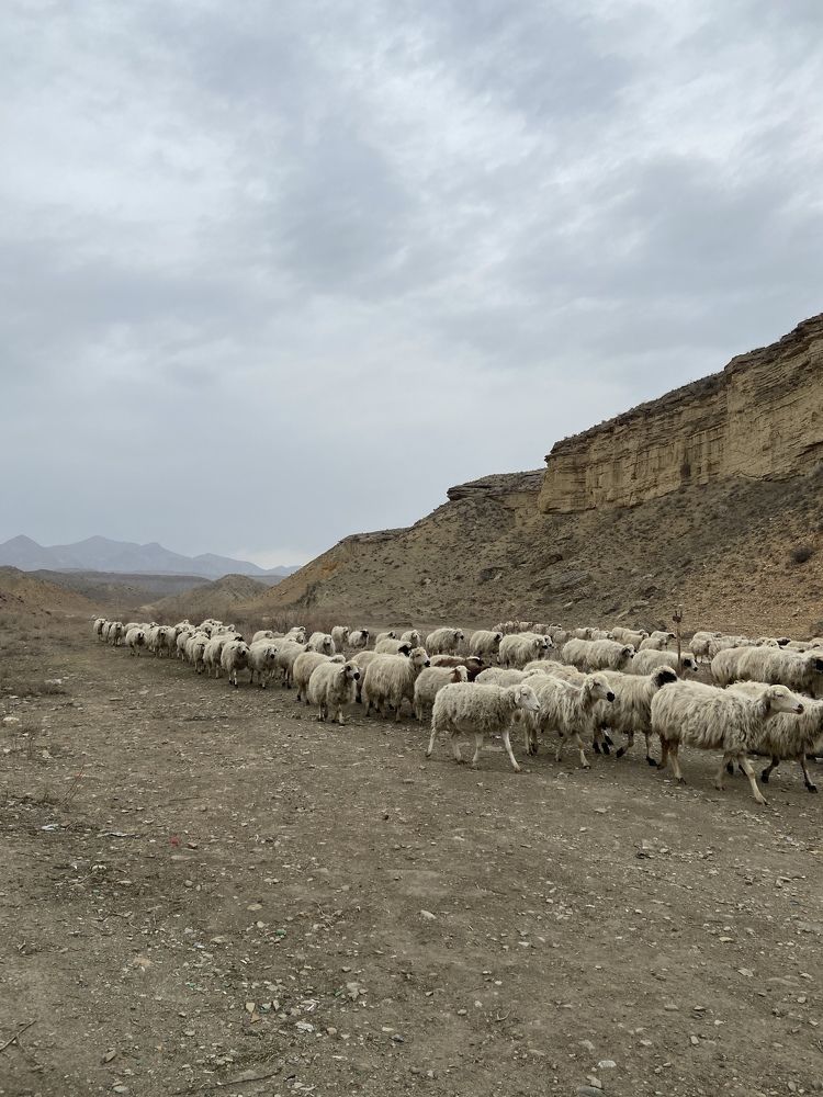 Photograph by Евгения