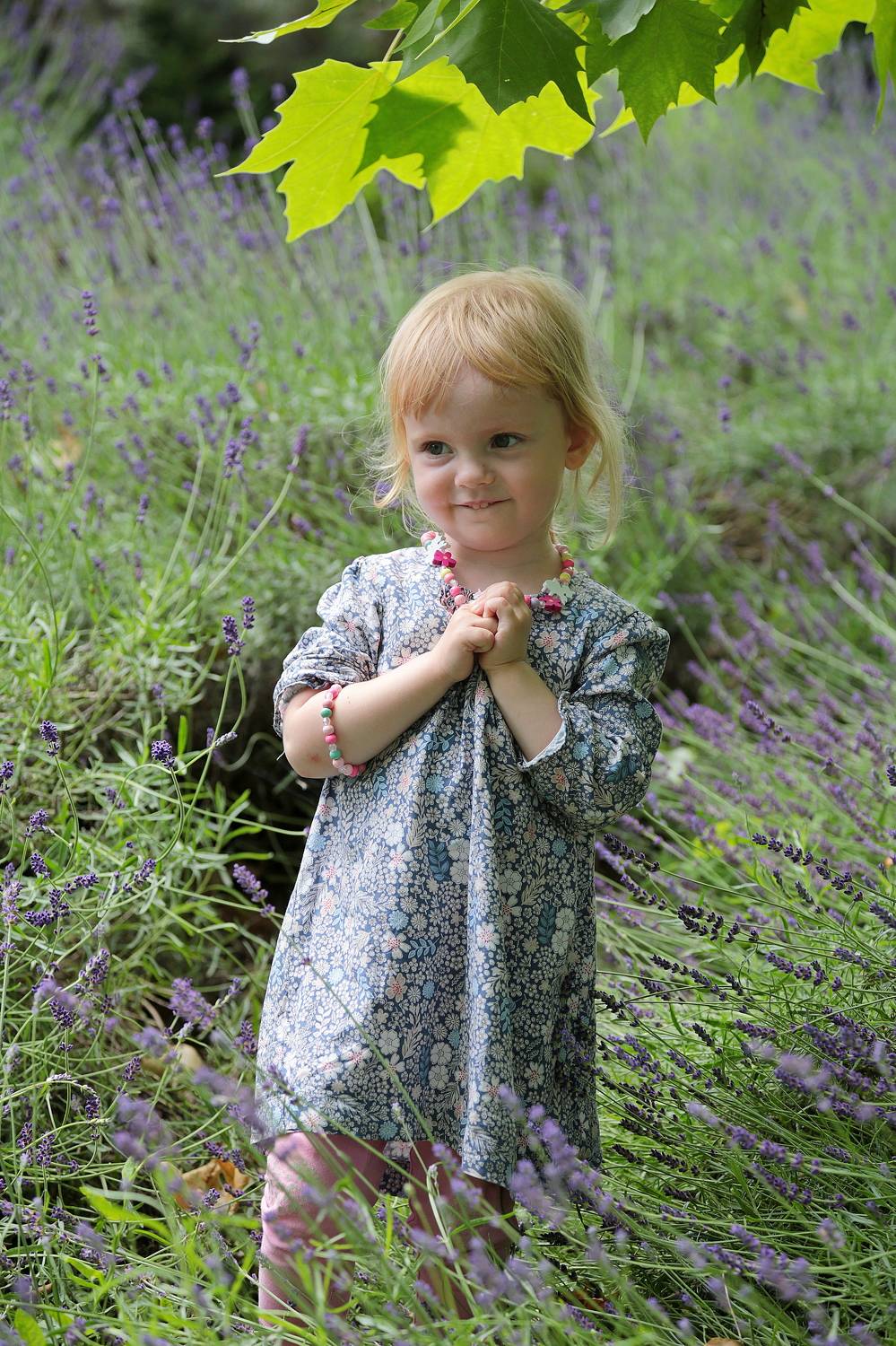 Photo #9501965