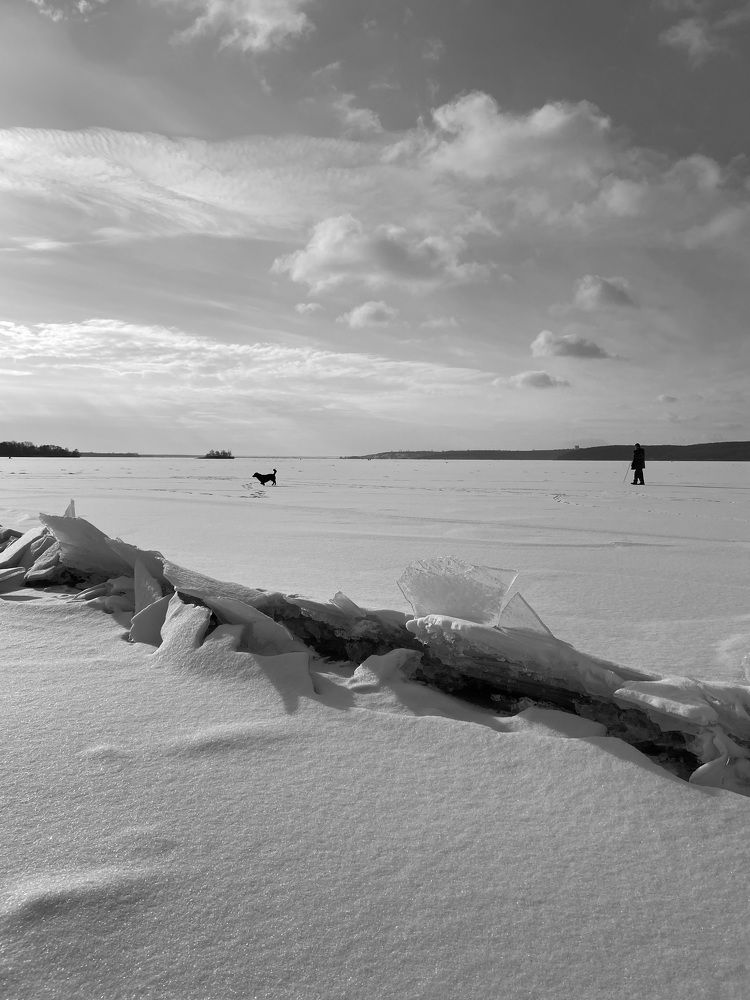 Photograph by Евгения