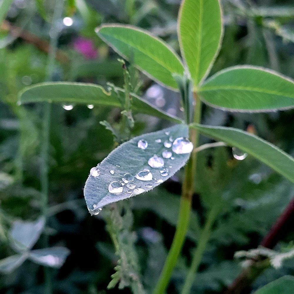 Photograph by Oksana Sabeleva