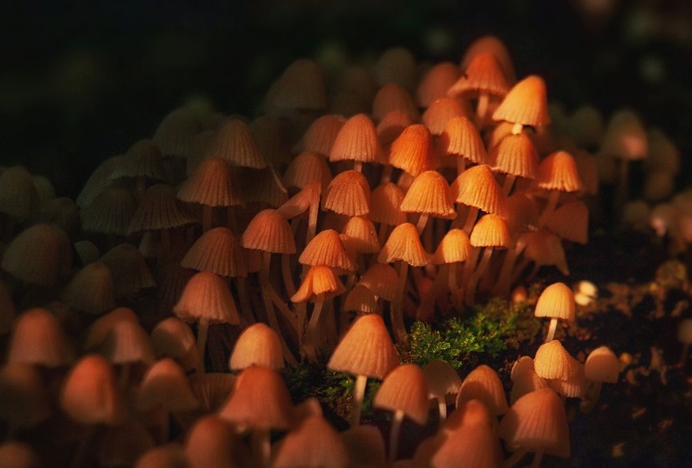 Photograph by Владимир