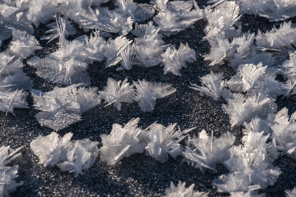 Photograph by Крицак Ольга