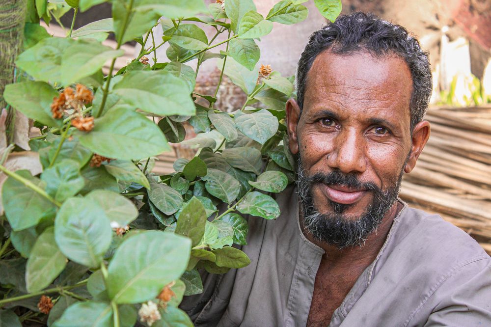 Фотография автора Youssef Ahmed