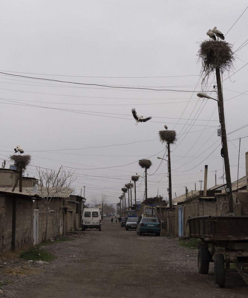 Photograph by Евгения