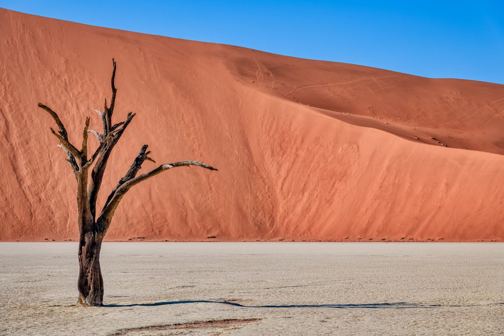 Photograph by Ильин Дмитрий