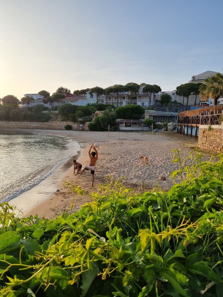 Photograph by Дарья Вега