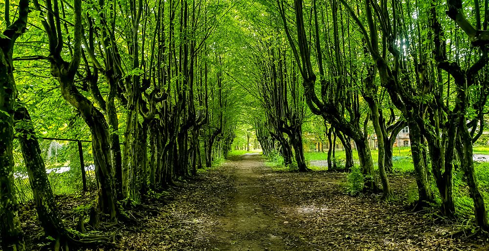 Photograph by Луценко Роман