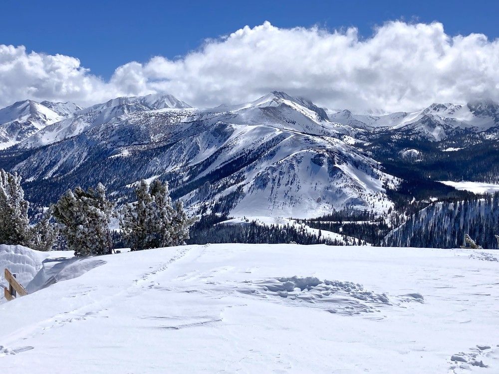 Фотография автора Елена