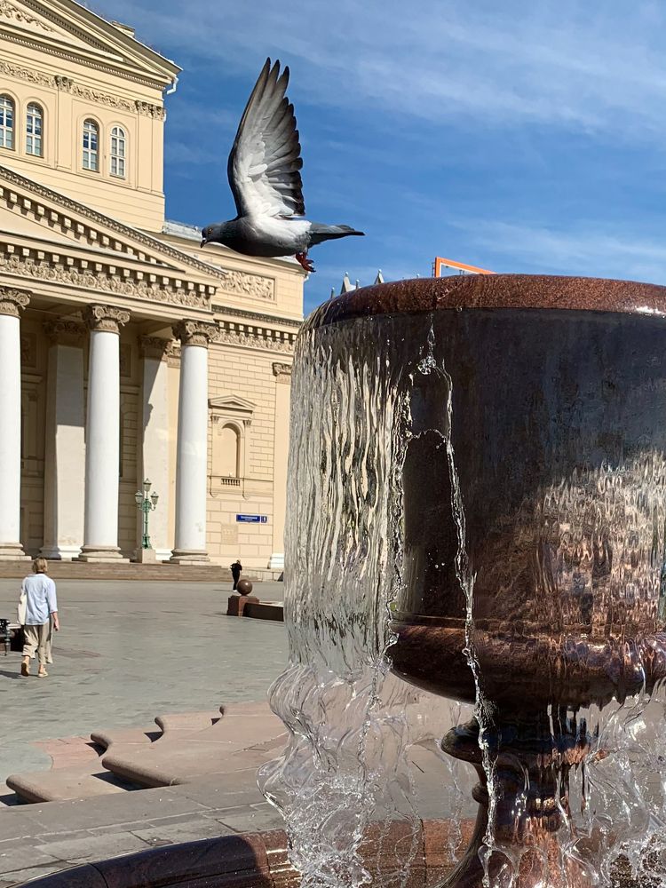 Photograph by Елена Макуха