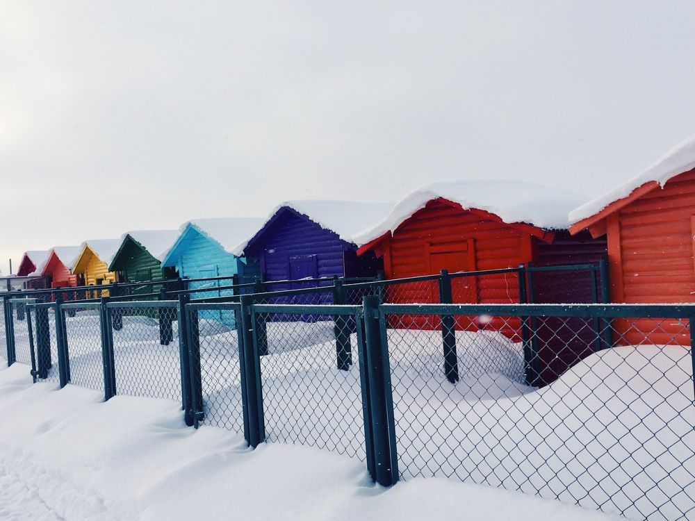 Photograph by Yana Vitkovskaya