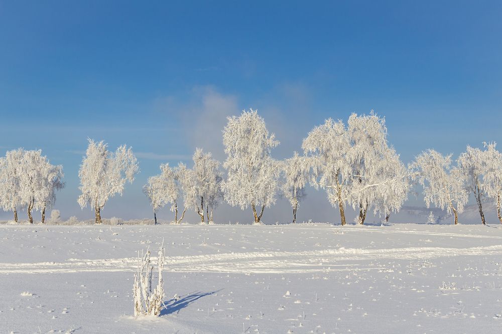 Белое покрывало января