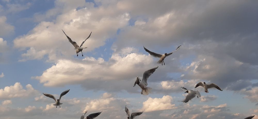 Photograph by Николай Цыпандин