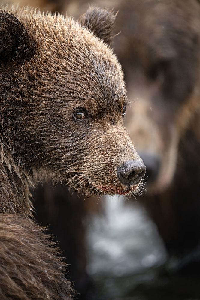 Photograph by Merche Llobera