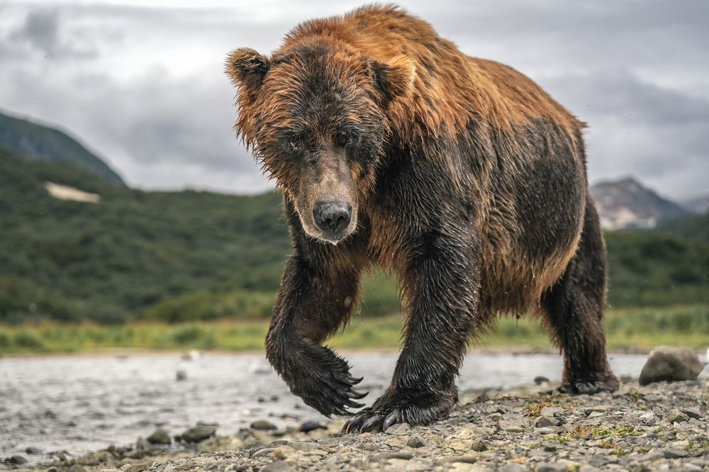 Photograph by Merche Llobera