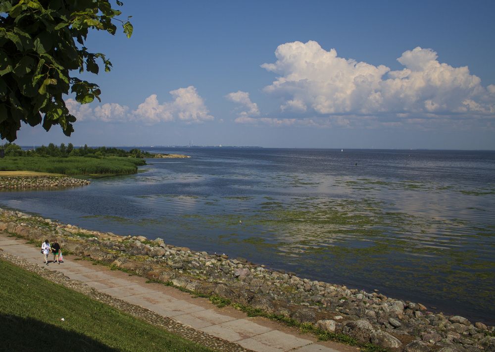 Photograph by Ирина Попел