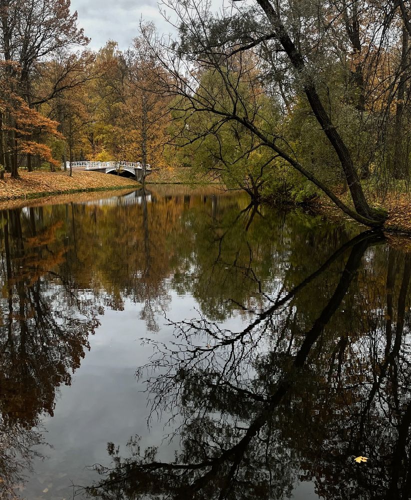 Photograph by Tatiana Teit Ash