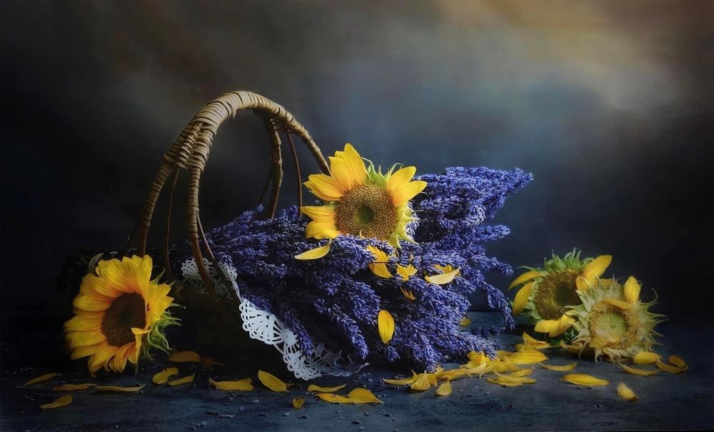 Фотография автора Phwar Cho