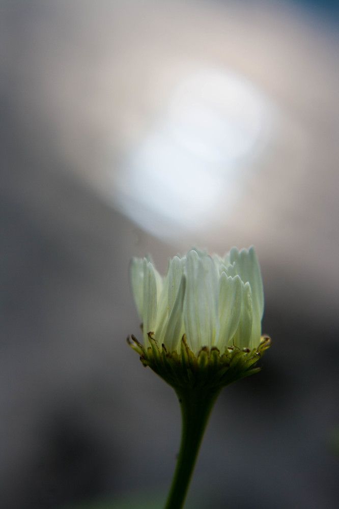 Фотография автора Ирина Гриценко