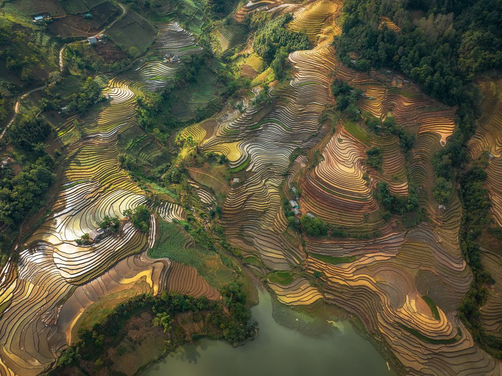 Photograph by Tran Phuong