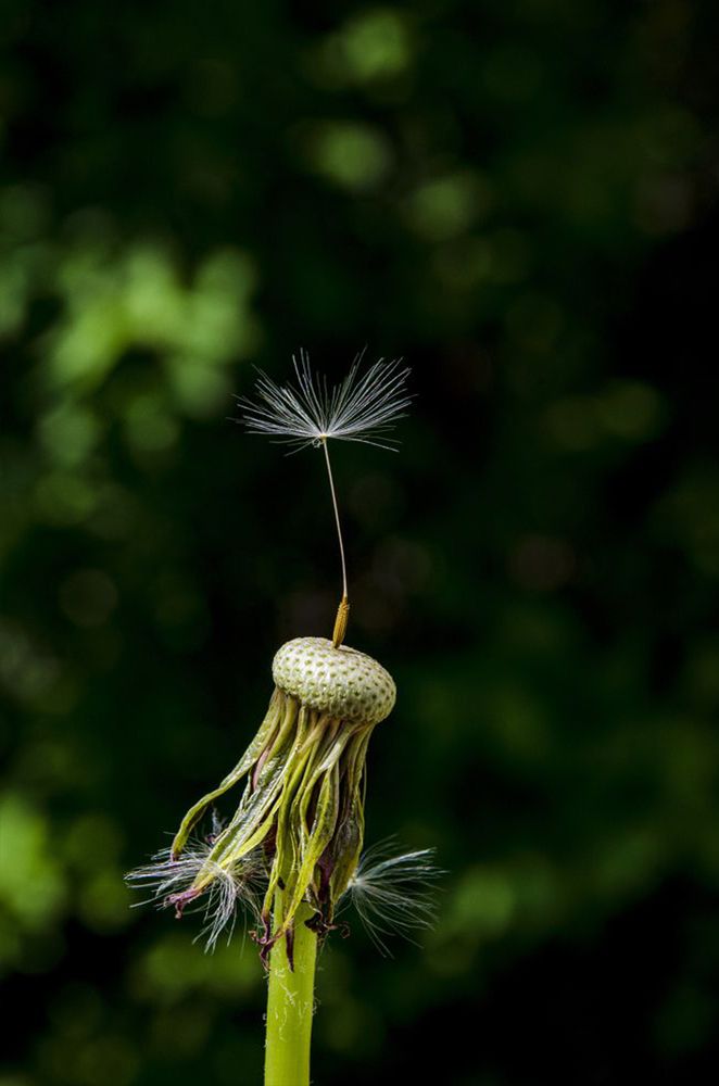 Photograph by Любовь Бусова