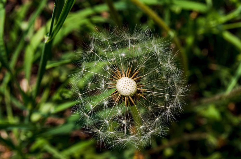 Photograph by Любовь Бусова