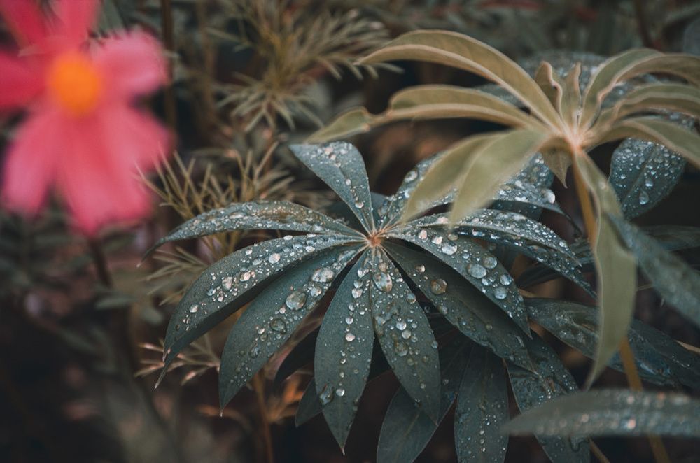 Photograph by Любовь Бусова