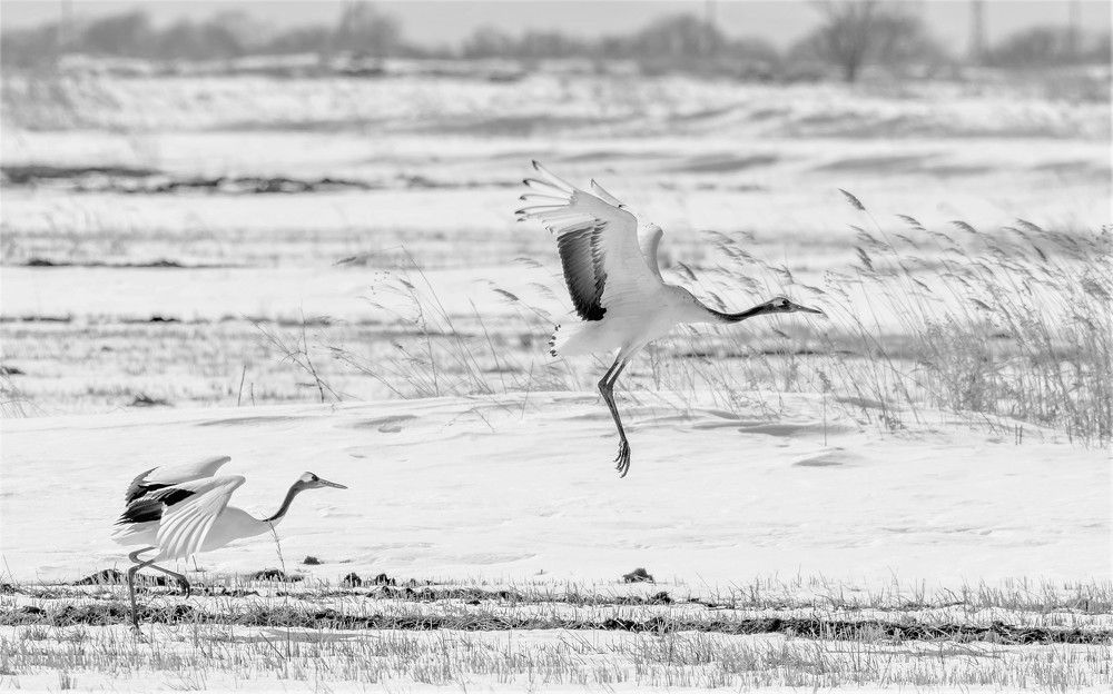 Photograph by константин