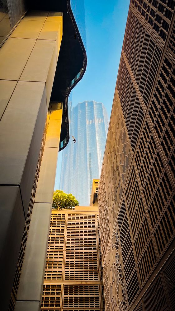 Photograph by Errol Victor Da Gama