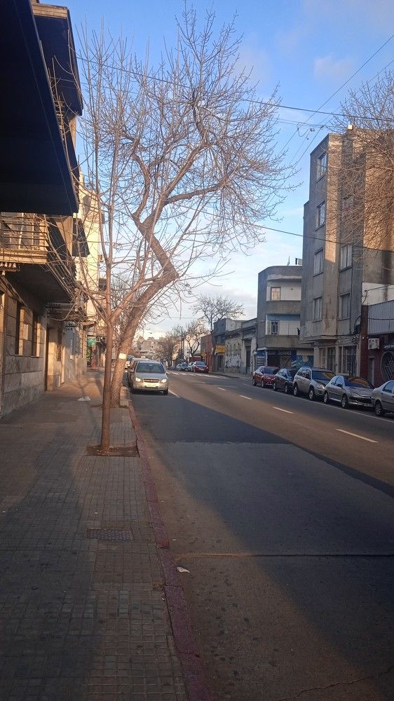 Photograph by Willian Izzi