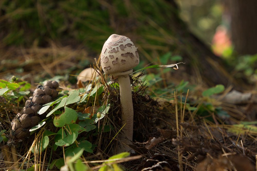 Photograph by Елена Кондратьева