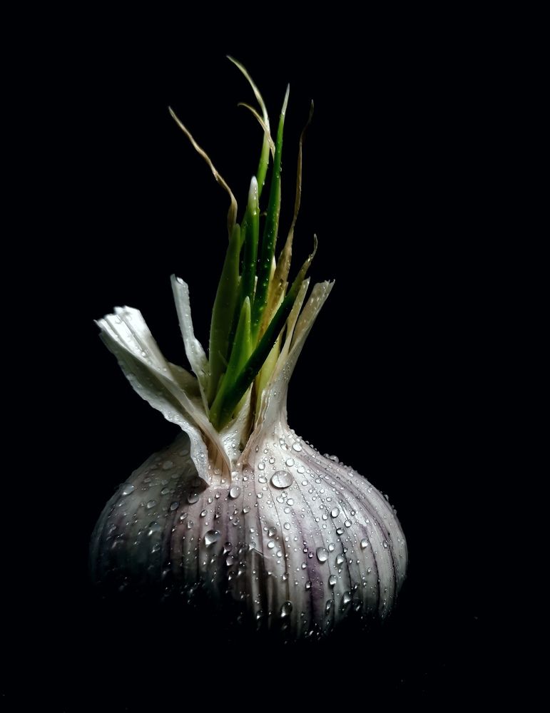 Photograph by Екатерина Савеня