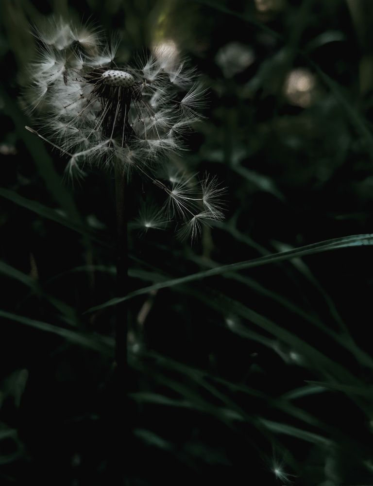 Photograph by Екатерина Савеня