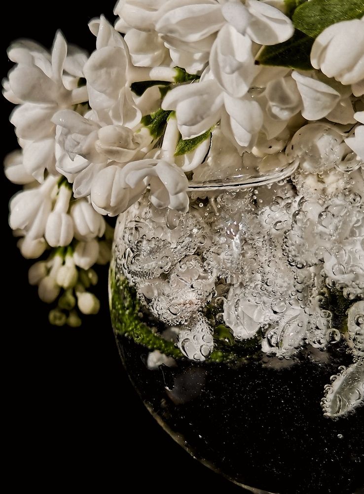 Photograph by Екатерина Савеня