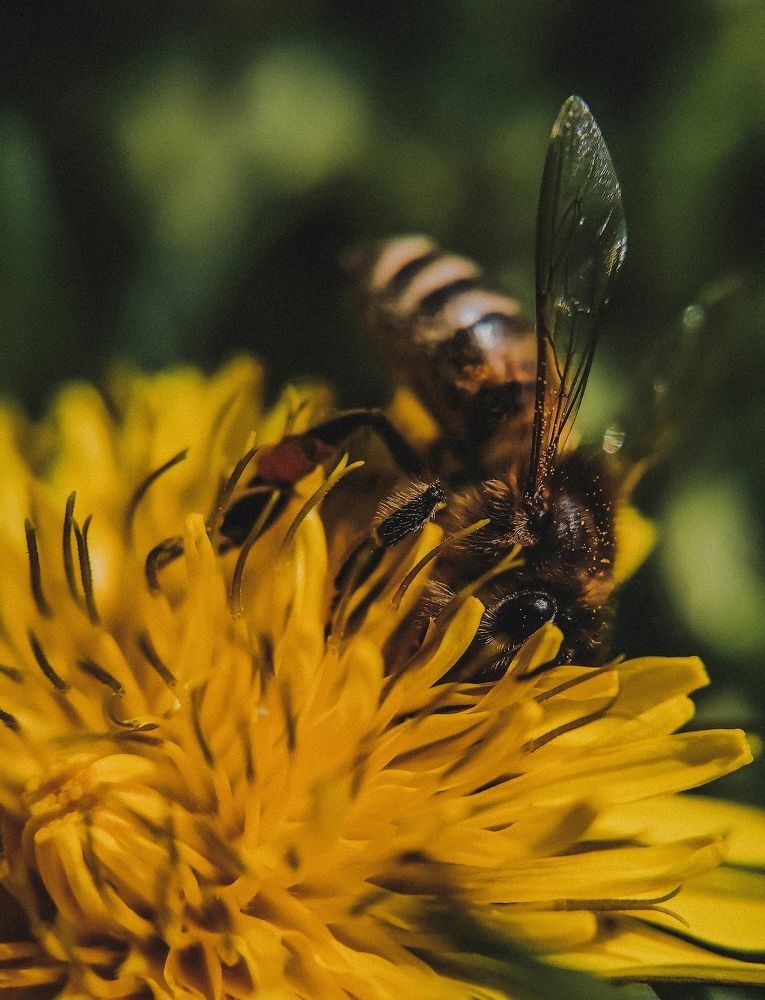 Photograph by Екатерина Савеня