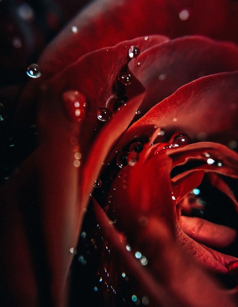 Photograph by Екатерина Савеня