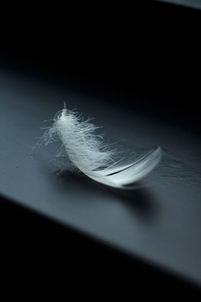 Photograph by Нелли Золотая