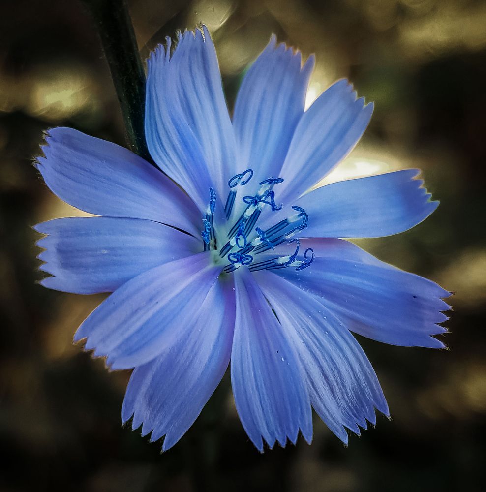 Photograph by Басалаев Евгений