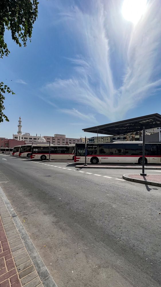 Photograph by Errol Victor Da Gama