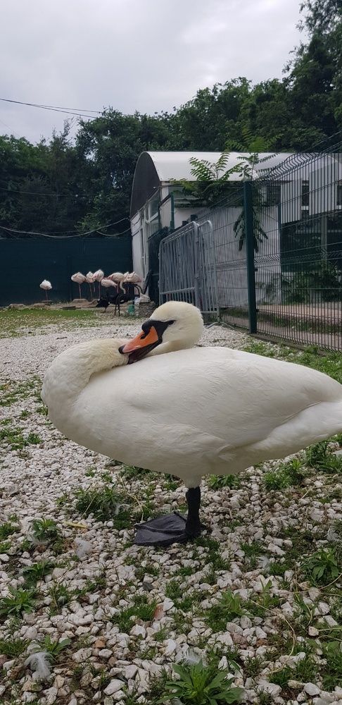 Фотография автора Ольга Мусина