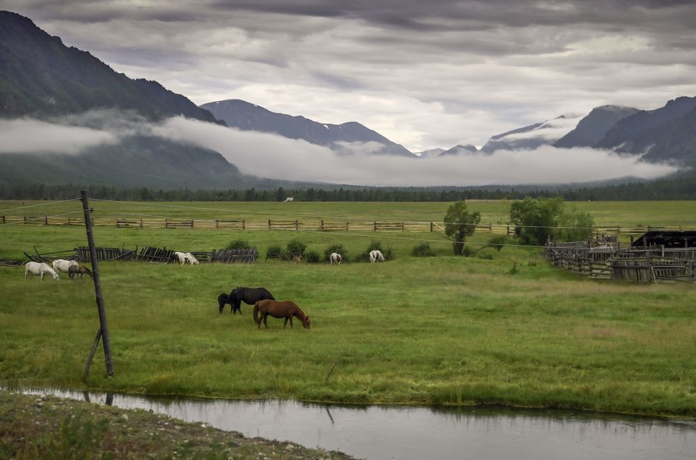 Photograph by Пирог Борис