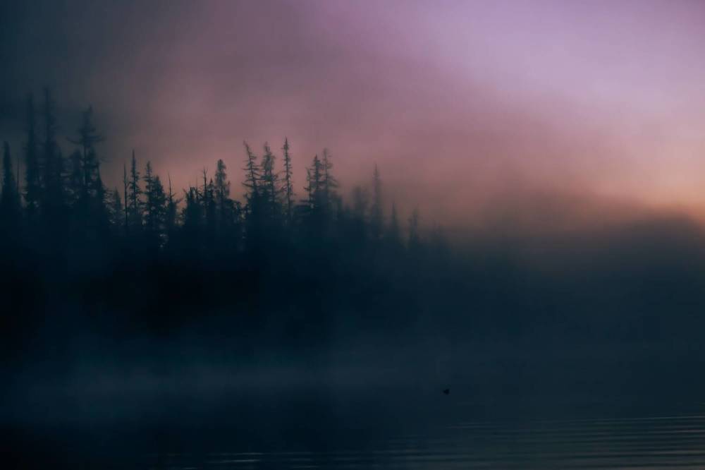 Арктические сумерки